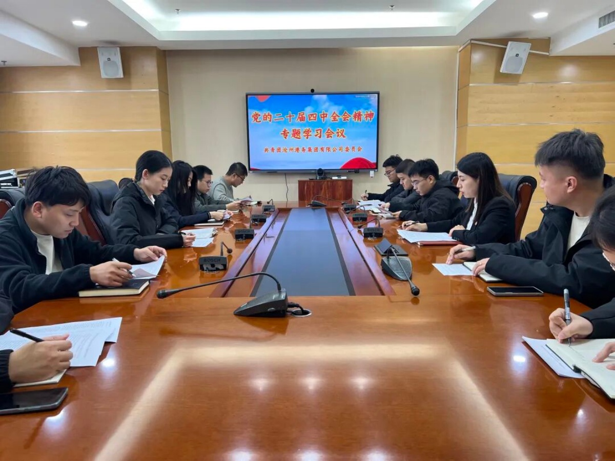 集团团委召开学习贯彻党的二十届四中全会精神专题学习会议