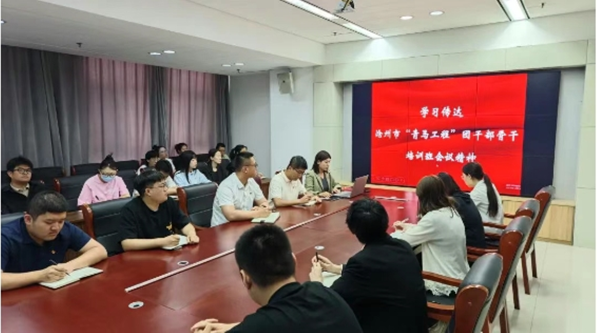 青春筑梦 青马同行|集团团委召开学习沧州市青马工程团干部骨干培训班精神专题会议
